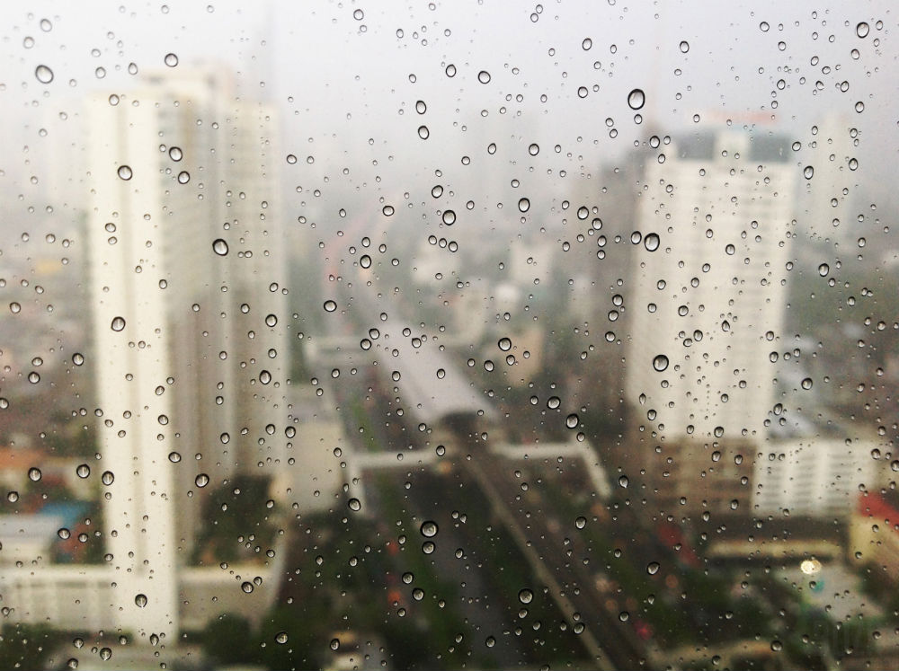 window